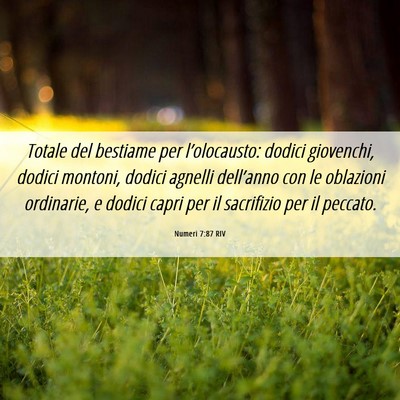Picture 06 - Numeri 7:87 RIV - Totale del bestiame per l’olocausto: dodici - Bible Verse Picture