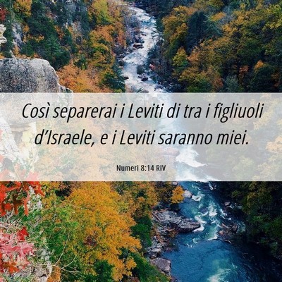 Picture 06 - Numeri 8:14 RIV - Così separerai i Leviti di tra i figliuoli - Bible Verse Picture