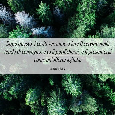 Picture 06 - Numeri 8:15 RIV - Dopo questo, i Leviti verranno a fare il servizio - Bible Verse Picture