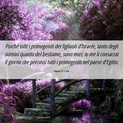 Picture 06 - Numeri 8:17 RIV - Poiché tutti i primogeniti dei figliuoli - Bible Verse Picture