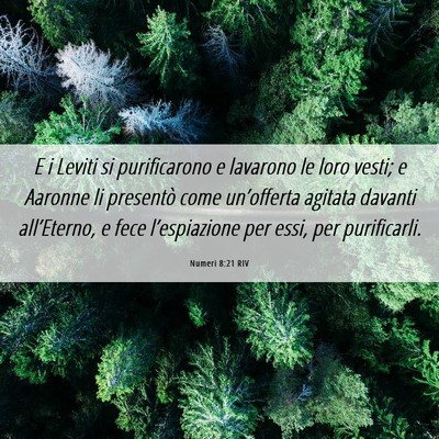 Picture 06 - Numeri 8:21 RIV - E i Leviti si purificarono e lavarono le loro - Bible Verse Picture