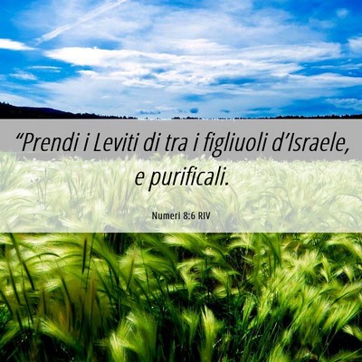 Picture 06 - Numeri 8:6 RIV - “Prendi i Leviti di tra i figliuoli - Bible Verse Picture