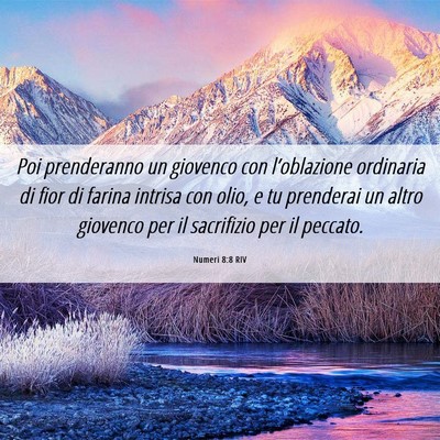 Picture 06 - Numeri 8:8 RIV - Poi prenderanno un giovenco con l’oblazione - Bible Verse Picture