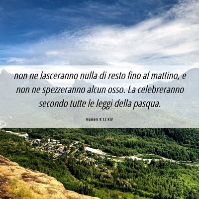 Picture 06 - Numeri 9:12 RIV - non ne lasceranno nulla di resto fino al mattino, - Bible Verse Picture