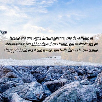 Picture 06 - Osea 10:1 RIV - Israele era una vigna lussureggiante, che dava - Bible Verse Picture