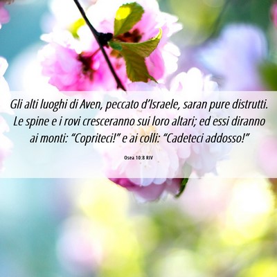 Picture 06 - Osea 10:8 RIV - Gli alti luoghi di Aven, peccato d’Israele, - Bible Verse Picture