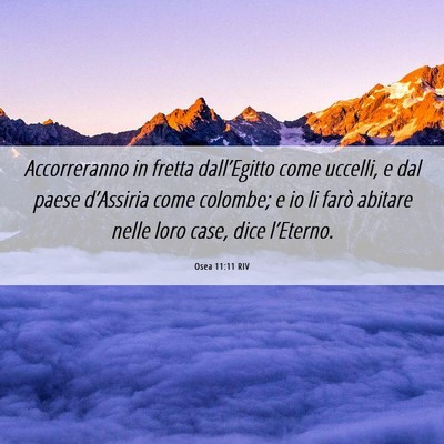 Picture 06 - Osea 11:11 RIV - Accorreranno in fretta dall’Egitto come - Bible Verse Picture