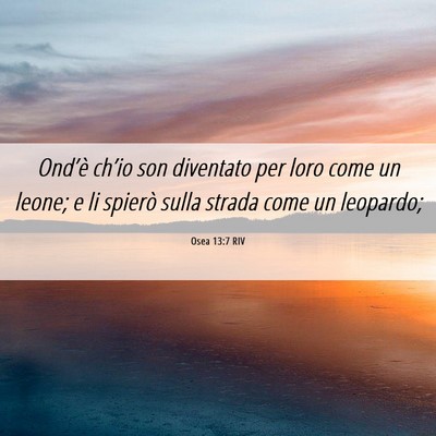 Picture 06 - Osea 13:7 RIV - Ond’è ch’io son diventato per loro come un - Bible Verse Picture