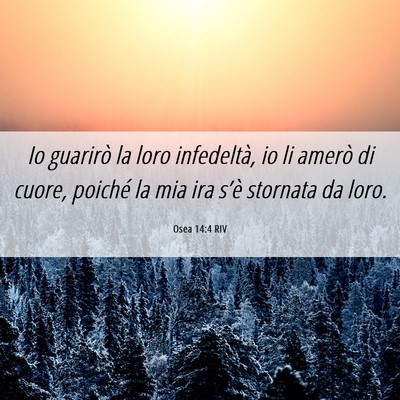 Picture 06 - Osea 14:4 RIV - Io guarirò la loro infedeltà, io li amerò di - Bible Verse Picture