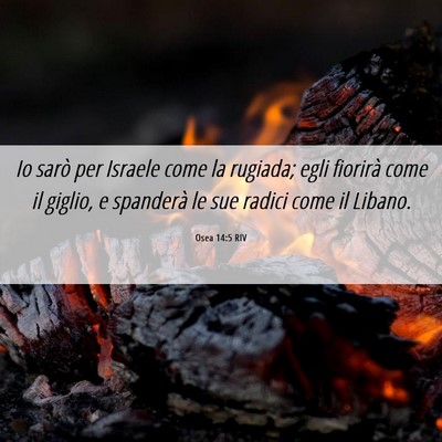 Picture 06 - Osea 14:5 RIV - Io sarò per Israele come la rugiada; egli - Bible Verse Picture