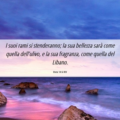 Picture 06 - Osea 14:6 RIV - I suoi rami si stenderanno; la sua bellezza sarà - Bible Verse Picture
