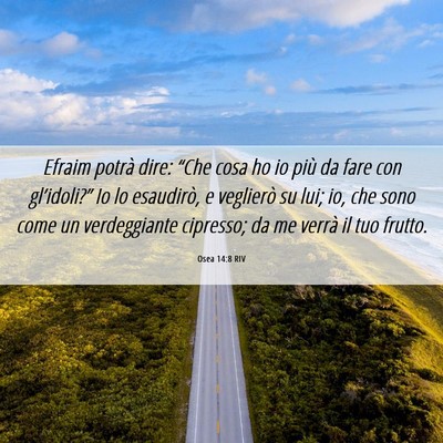 Picture 06 - Osea 14:8 RIV - Efraim potrà dire: “Che cosa ho io più da - Bible Verse Picture