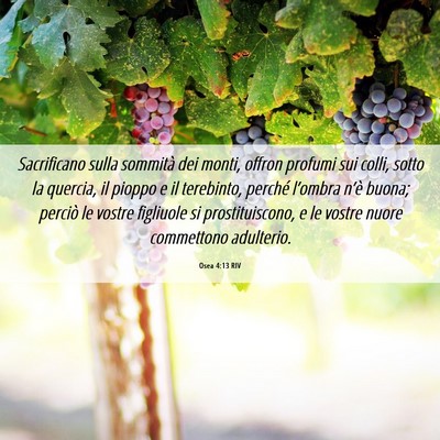 Picture 06 - Osea 4:13 RIV - Sacrificano sulla sommità dei monti, offron - Bible Verse Picture
