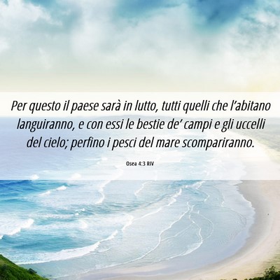 Picture 06 - Osea 4:3 RIV - Per questo il paese sarà in lutto, tutti quelli - Bible Verse Picture