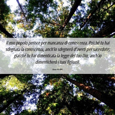 Picture 06 - Osea 4:6 RIV - Il mio popolo perisce per mancanza di conoscenza. - Bible Verse Picture
