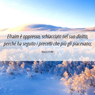Picture 06 - Osea 5:11 RIV - Efraim è oppresso, schiacciato nel suo diritto, - Bible Verse Picture