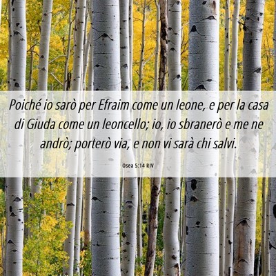Picture 06 - Osea 5:14 RIV - Poiché io sarò per Efraim come un leone, e per - Bible Verse Picture