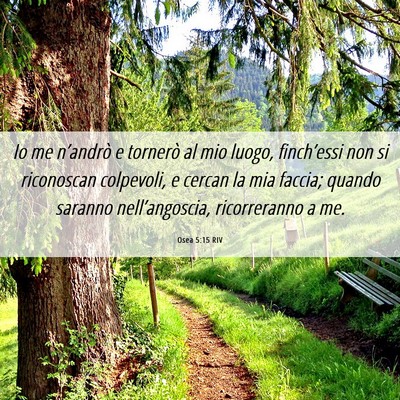 Picture 06 - Osea 5:15 RIV - Io me n’andrò e tornerò al mio luogo, - Bible Verse Picture