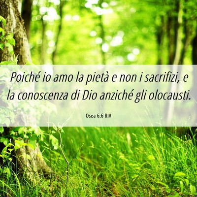 Picture 06 - Osea 6:6 RIV - Poiché io amo la pietà e non i sacrifizi, e la - Bible Verse Picture