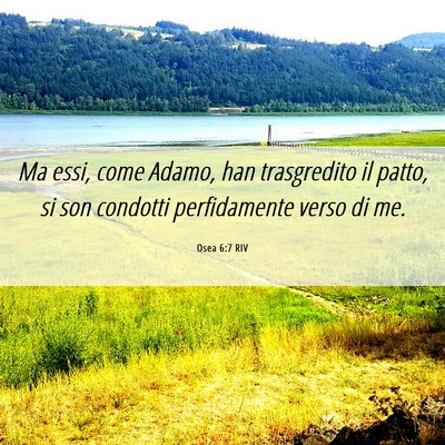 Picture 06 - Osea 6:7 RIV - Ma essi, come Adamo, han trasgredito il patto, si - Bible Verse Picture