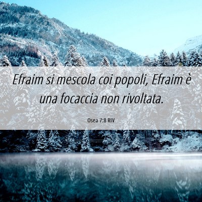 Picture 06 - Osea 7:8 RIV - Efraim si mescola coi popoli, Efraim è una - Bible Verse Picture