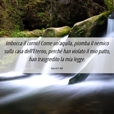 Picture 06 - Osea 8:1 RIV - Imbocca il corno! Come un’aquila, piomba il - Bible Verse Picture