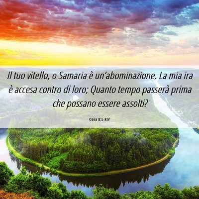 Picture 06 - Osea 8:5 RIV - Il tuo vitello, o Samaria è un’abominazione. - Bible Verse Picture