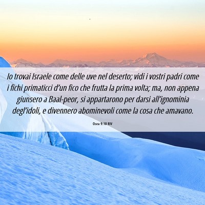 Picture 06 - Osea 9:10 RIV - Io trovai Israele come delle uve nel deserto; - Bible Verse Picture