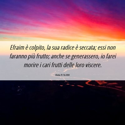 Picture 06 - Osea 9:16 RIV - Efraim è colpito, la sua radice è seccata; essi - Bible Verse Picture