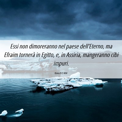 Picture 06 - Osea 9:3 RIV - Essi non dimoreranno nel paese dell’Eterno, ma - Bible Verse Picture