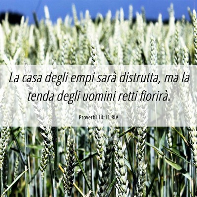Picture 06 - Proverbi 14:11 RIV - La casa degli empi sarà distrutta, ma la tenda - Bible Verse Picture