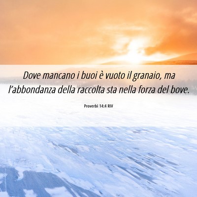 Picture 06 - Proverbi 14:4 RIV - Dove mancano i buoi è vuoto il granaio, ma - Bible Verse Picture