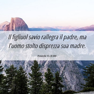 Picture 06 - Proverbi 15:20 RIV - Il figliuol savio rallegra il padre, ma l’uomo - Bible Verse Picture