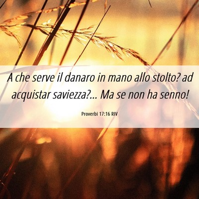 Picture 06 - Proverbi 17:16 RIV - A che serve il danaro in mano allo stolto? ad - Bible Verse Picture