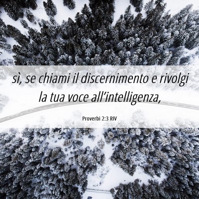 Picture 06 - Proverbi 2:3 RIV - sì, se chiami il discernimento e rivolgi la tua - Bible Verse Picture