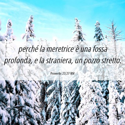 Picture 06 - Proverbi 23:27 RIV - perché la meretrice è una fossa profonda, e la - Bible Verse Picture