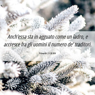 Picture 06 - Proverbi 23:28 RIV - Anch’essa sta in agguato come un ladro, e - Bible Verse Picture