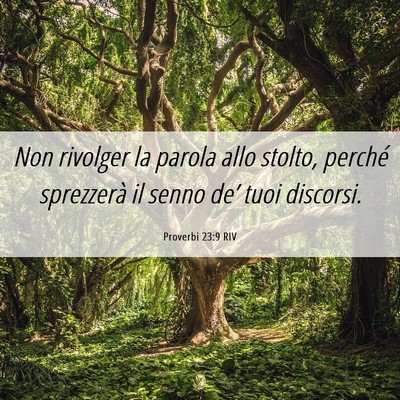 Picture 06 - Proverbi 23:9 RIV - Non rivolger la parola allo stolto, perché - Bible Verse Picture
