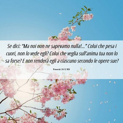 Picture 06 - Proverbi 24:12 RIV - Se dici: “Ma noi non ne sapevamo nulla!…” - Bible Verse Picture