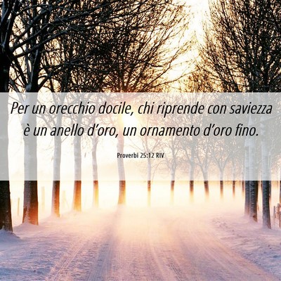Picture 06 - Proverbi 25:12 RIV - Per un orecchio docile, chi riprende con saviezza - Bible Verse Picture