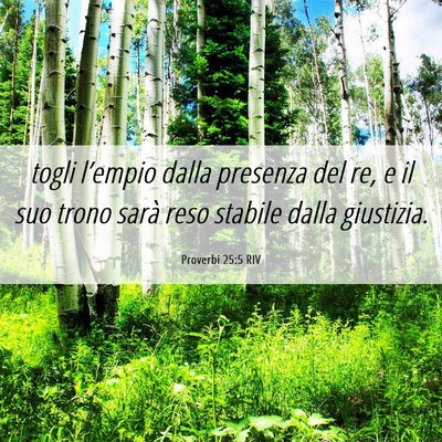 Picture 06 - Proverbi 25:5 RIV - togli l’empio dalla presenza del re, e il suo - Bible Verse Picture