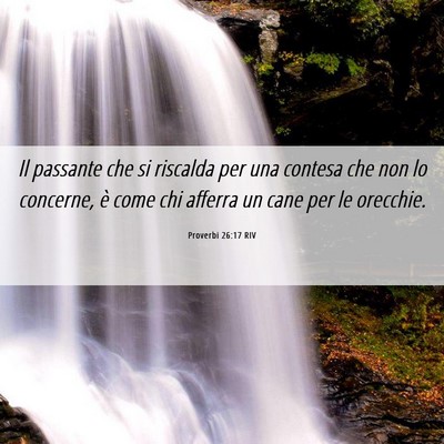 Picture 06 - Proverbi 26:17 RIV - Il passante che si riscalda per una contesa che - Bible Verse Picture