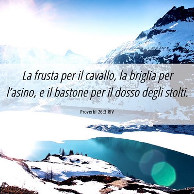 Picture 06 - Proverbi 26:3 RIV - La frusta per il cavallo, la briglia per - Bible Verse Picture