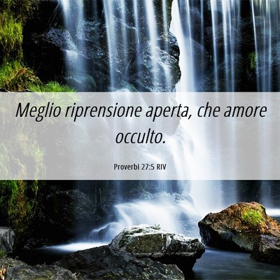 Picture 06 - Proverbi 27:5 RIV - Meglio riprensione aperta, che amore - Bible Verse Picture