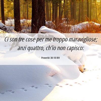 Picture 06 - Proverbi 30:18 RIV - Ci son tre cose per me troppo maravigliose; anzi - Bible Verse Picture