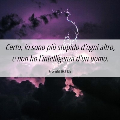 Picture 06 - Proverbi 30:2 RIV - Certo, io sono più stupido d’ogni altro, e non - Bible Verse Picture