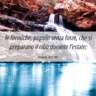 Picture 06 - Proverbi 30:25 RIV - le formiche, popolo senza forze, che si preparano - Bible Verse Picture
