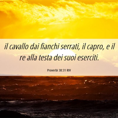 Picture 06 - Proverbi 30:31 RIV - il cavallo dai fianchi serrati, il capro, e il re - Bible Verse Picture