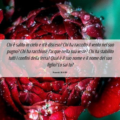 Picture 06 - Proverbi 30:4 RIV - Chi è salito in cielo e n’è disceso? Chi ha - Bible Verse Picture