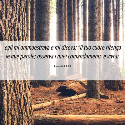 Picture 06 - Proverbi 4:4 RIV - egli mi ammaestrava e mi diceva: “Il tuo cuore - Bible Verse Picture